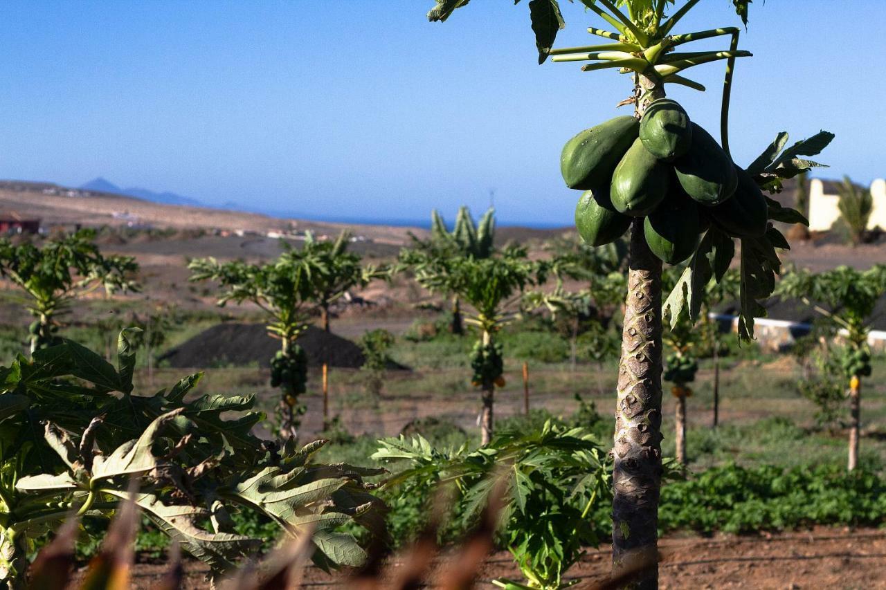 Arbequina Casa vacanze