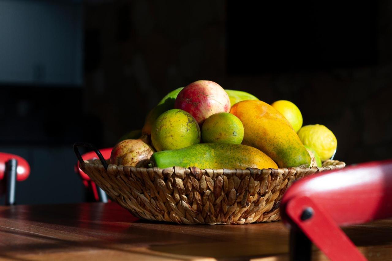 Arbequina * Pájara