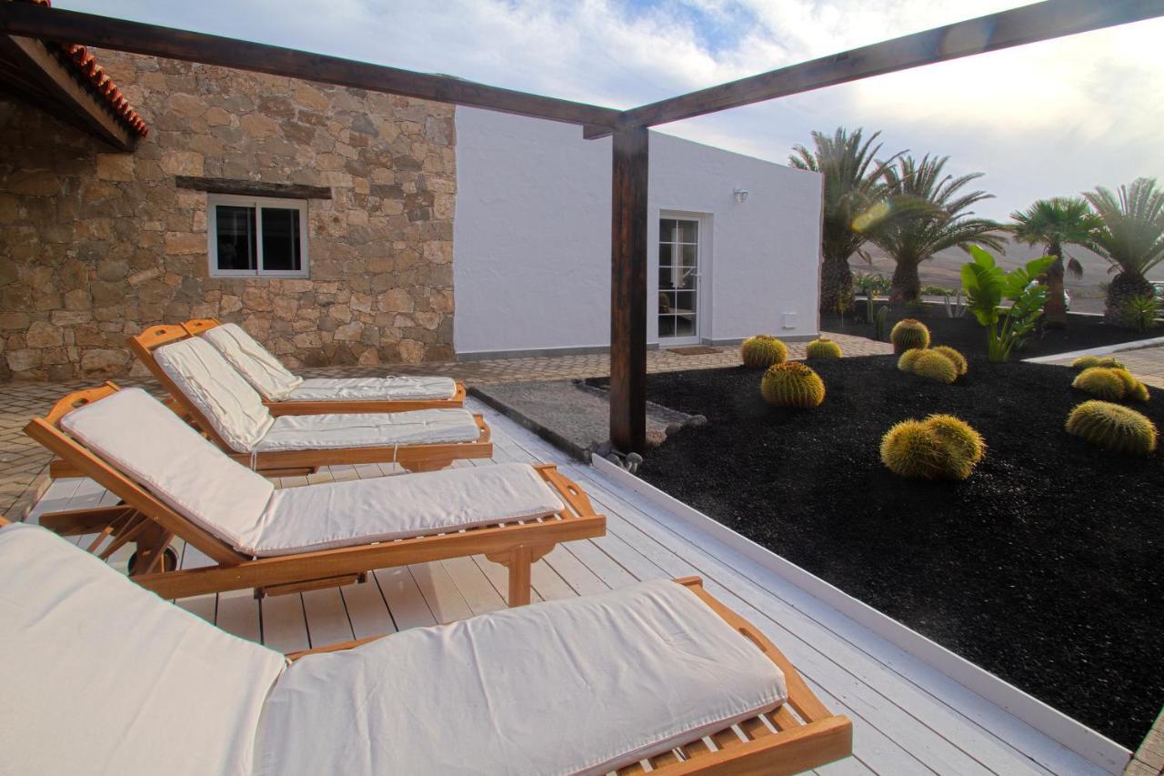 Arbequina * Pajara (Fuerteventura)
